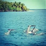 Los Haitises Mountain Bike + Private Boat Trip