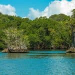 4 Hours Kayak Los Haitises