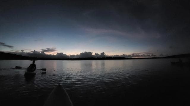 San Juan: Bioluminescent Laguna Grande Bay Night Kayaking