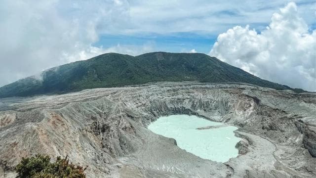 Coffee Farm tour, Poas Volcano Park and La Paz Waterfall