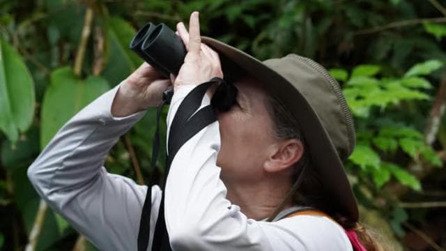Manuel Antonio National Park: All-Inclusive Guided Tour