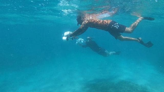 San Juan: Jet Snorkeling Adventure with Sea Turtle Spotting