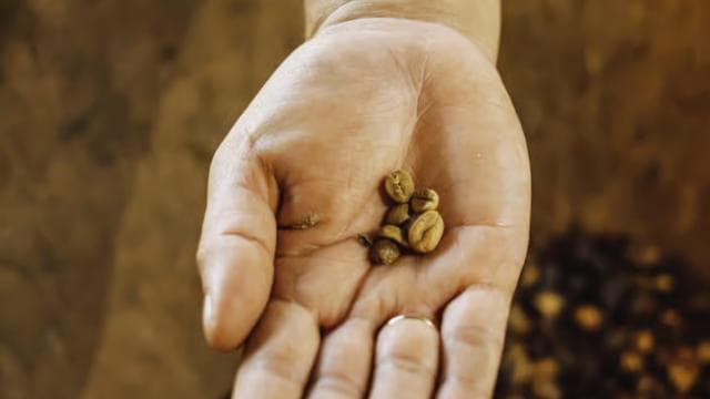 La Fortuna: Local Coffee Tour Experience - Dominican Republic