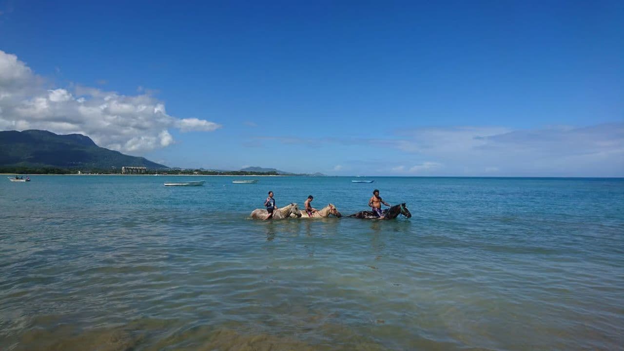 Puerto Plata: Horseback Riding on the Beach