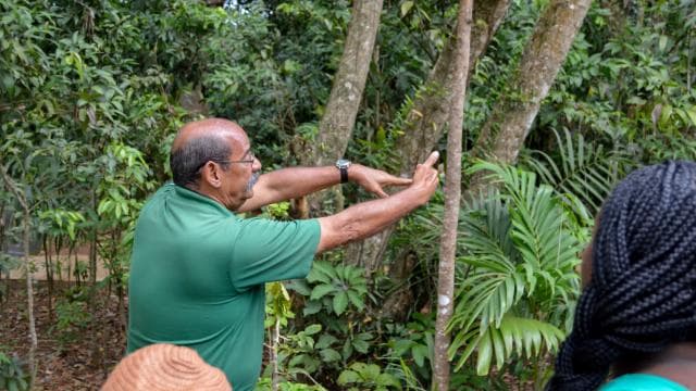 Puerto Rico: El Yunque Sightseeing Half-Day Tour w/Transfer