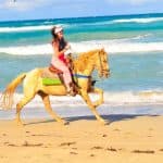 Macao Beach & Forest Horseback Adventure