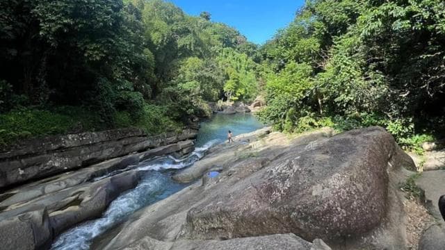 Luquillo: Rainforest Adventure with Food & Photos