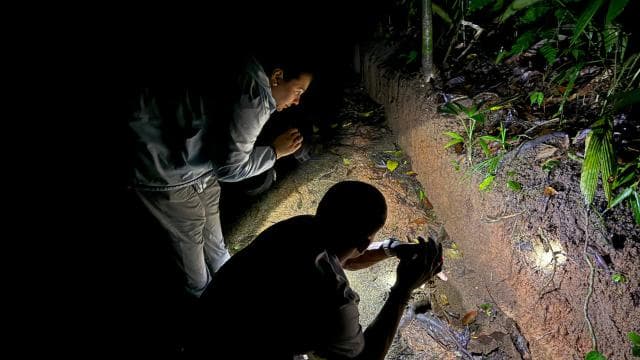 Manuel Antonio: Jungle Night Tour and Buttlerfly Garden