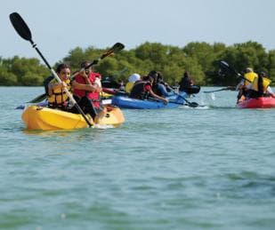 Sabana de la Mar: Los Haitises Guided Hike and Kayaking