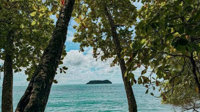 From San José: Full day Manuel Antonio National Park