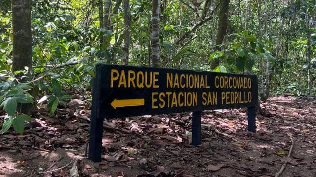 Uvita: Hiking in Corcovado National Park