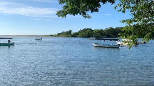 Tamarindo Estuary: Explore by Boat or Kayak - Choose your tour!