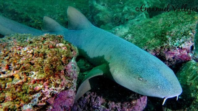 Guanacaste: Discover Scuba Dive Day in Papagayo Gulf