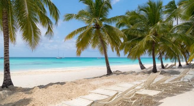 Punta Cana: Saona Island Tour & catamaran food & open Bar