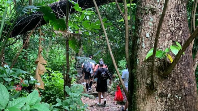 El Yunque National Rainforest Nature Walk & Luquillo Beach