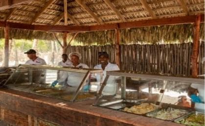 Bayahibe: Saona Island Catamaran Tour with Lunch & Drinks