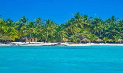 Full-Day Saona Island Excursion with Catamaran Party