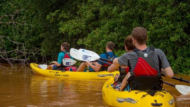Uvita: Kayak & Snorkel Private Tour - Marino Ballena N. Park