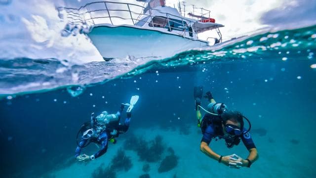 Las Catalinas: Discover Scuba Diving at Flamingo & Tamarindo