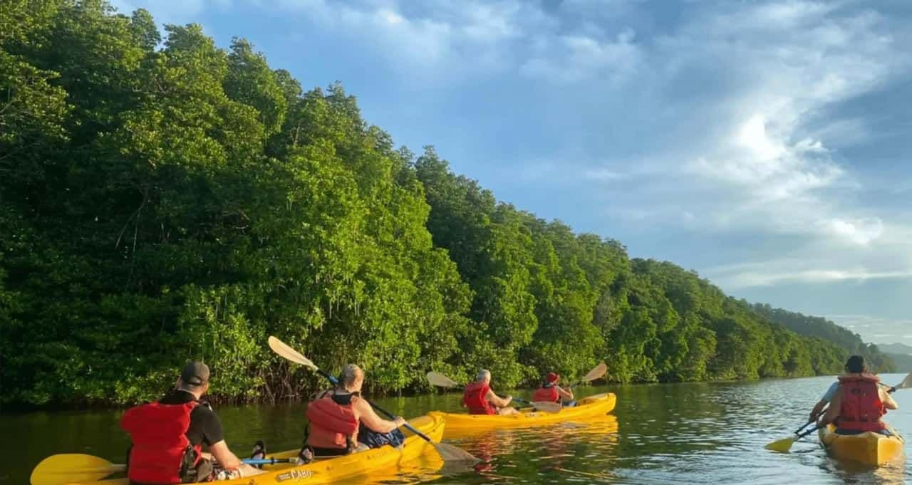 Samana: Walking City Tour