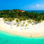 Whale Watching + Cayo Levantado Freedom