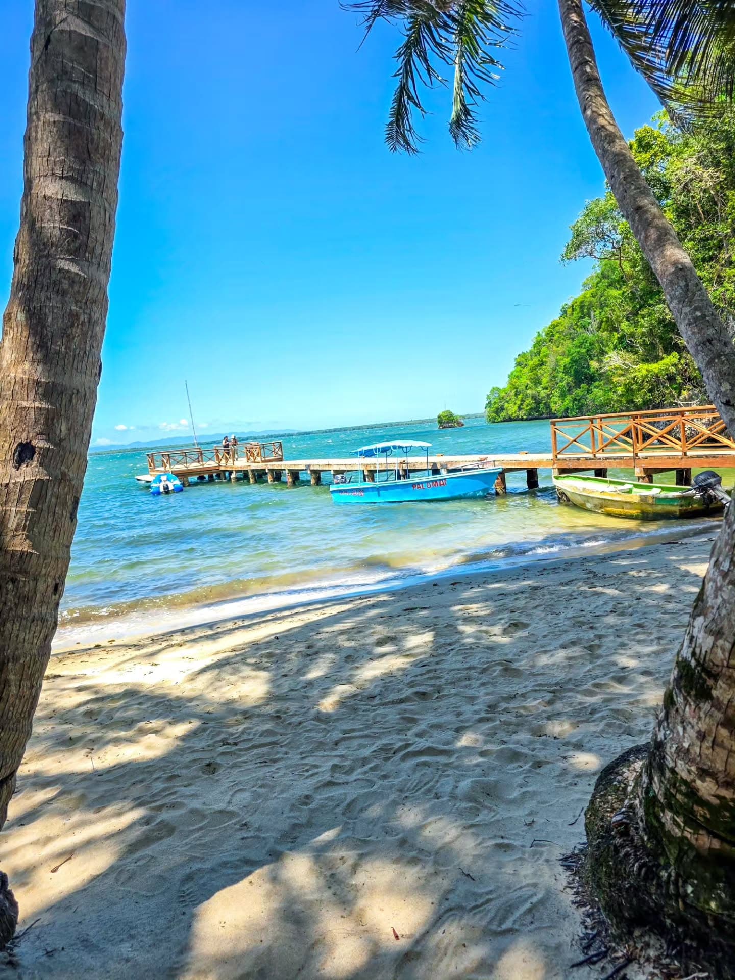Los Haitises Tour from Santo Domingo, Samaná or Sabana de la Mar. Full Day Trip. - Dominican Republic