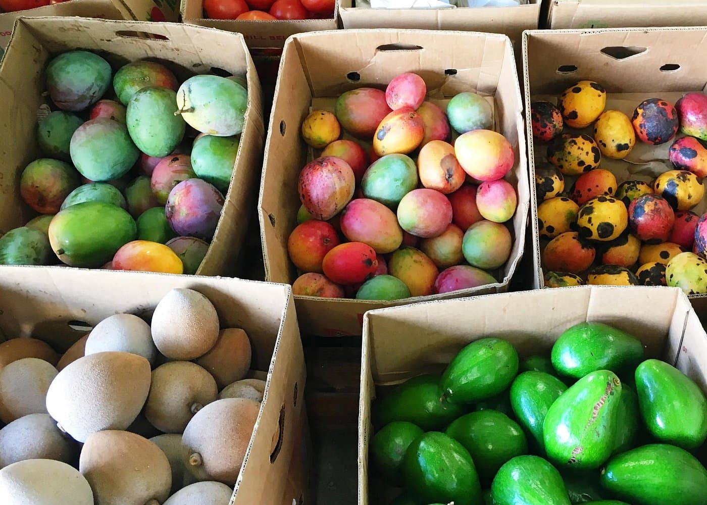 Little Havana Like a Local: Food, Culture & Hidden Gems