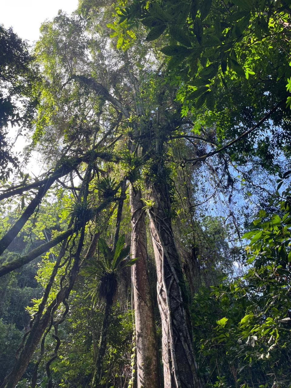 Los Haitises 4 Caves expedition & Rain Forest walk