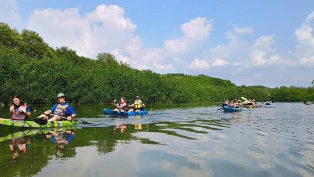Manuel Antonio: Kayak Tour in the Mangroves to see animals