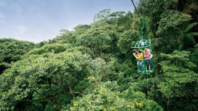 From San Jose: 6-in-1 Rainforest Bridges & Cables Adventure