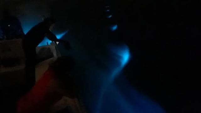 Vieques: Bioluminescent Bay Boat Tour