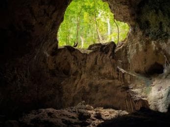 Samana: Los Haitises National Park & Caño Hondo Day Tour
