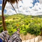 Punta Cana: Ziplines Adventures & Monkeyland Entry