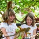 From Bayahibe: Half Day Monkeyland Safari