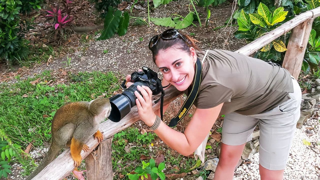 Monkeyland tour + Transportation from cruise/hotel