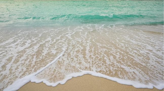 Punta Cana: Saona Island Tour & catamaran food & open Bar
