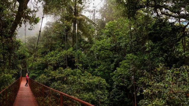 Monteverde: Monteverde Cloud Forest Canopy Adventure