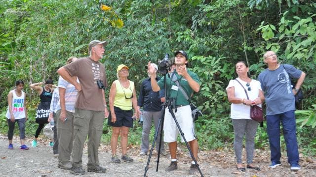 From Jaco: Full-Day Manuel Antonio National Park Tour