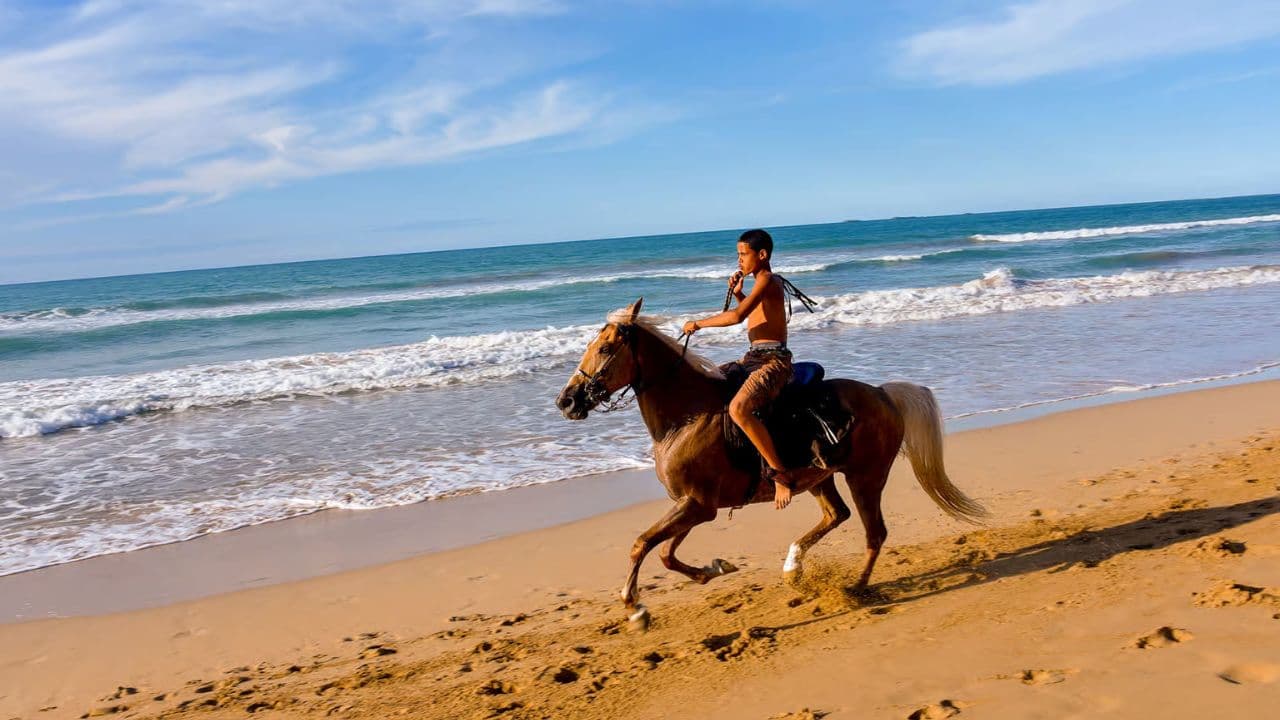 Puerto Plata: 2-Hour Horseback Ride on the Beach - Dominican Republic