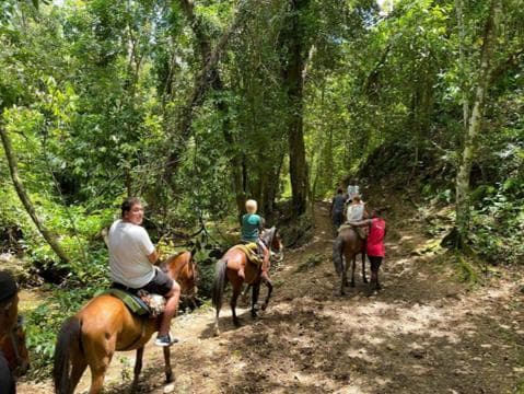 El Limón Waterfall Horseback Riding Tour