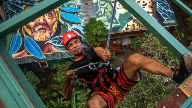Puerto Viejo: Explore the giant ceibo tree with an accessible aerial circuit