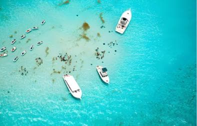 Saona Island Day Tour from Punta Cana with Lunch & Open Bar