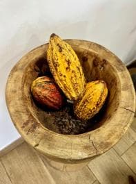 Altos de Chavón & La Romana Cultural Tour with Local Flavors