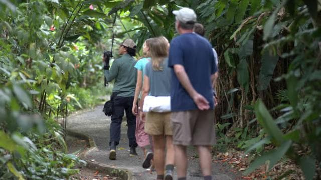 La Fortuna: Sloth & Wildlife Nature Walk - Dominican Republic
