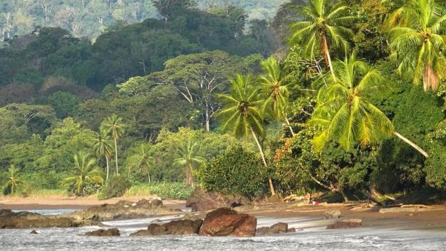 Corcovado National Park: Three Days and Two Nights Corcovado