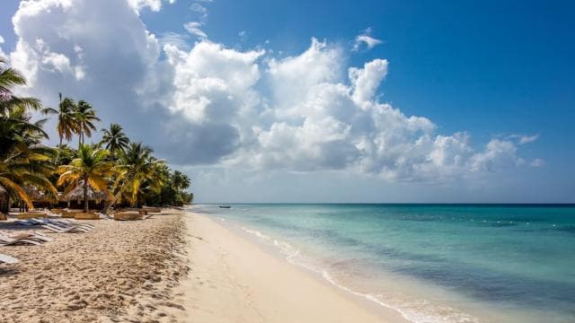 From Punta Cana: Saona Island Cruise with Private Beach
