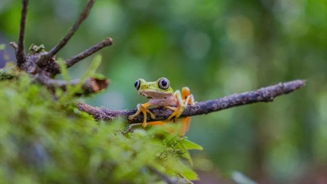 Natura Eco Park Admission: Wildlife Sanctuary