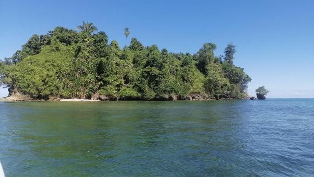 Manzanillo: Dolphin watching and Punta Mona Beach