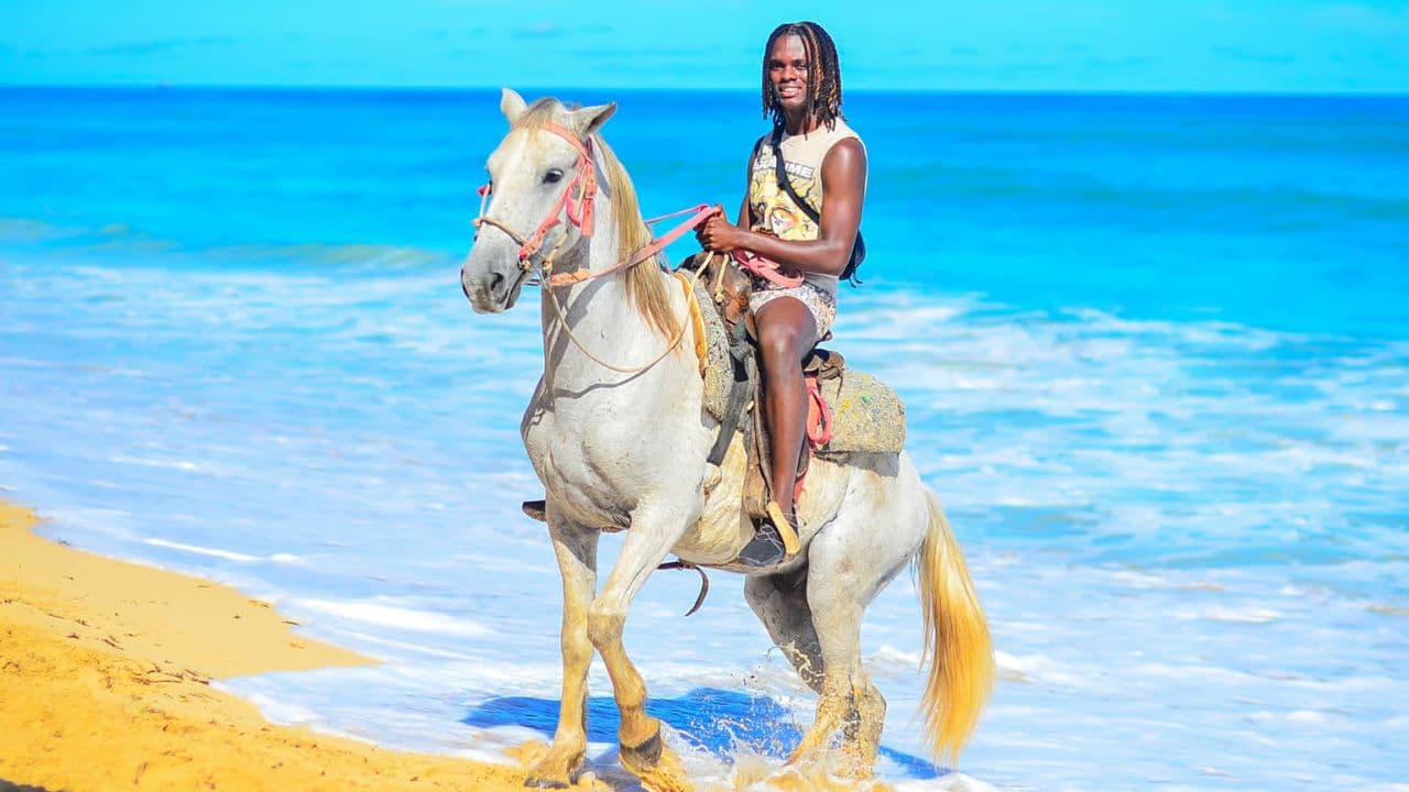 Macao Beach & Forest Horseback Adventure