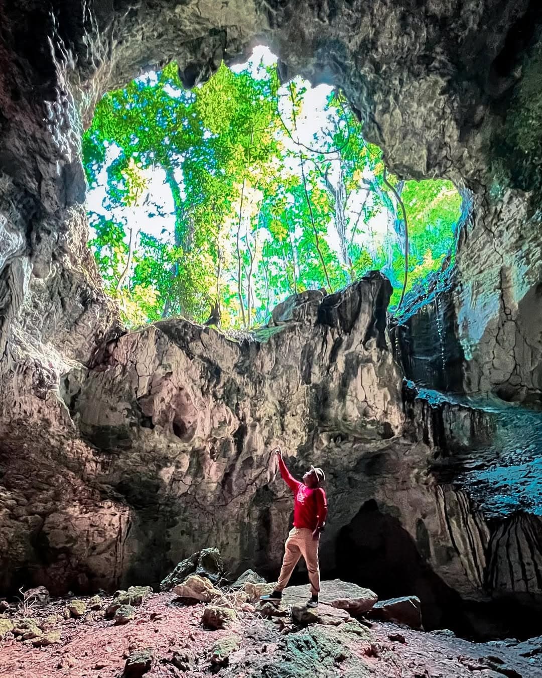 Kayaking in Los Haitises National Park from Caño Hondo | 4-Hour Guided Tour